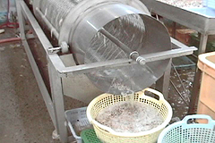 ホタテヒモ・ワタ取り機　連結型の製品画像